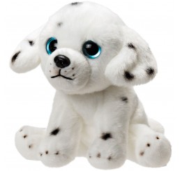 Dalmatian – puppy