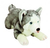 Husky – large