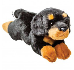 Rottweiler – large