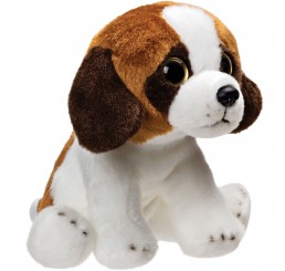 St Bernard – puppy