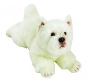 Westie – large