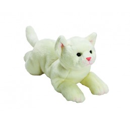 White Cat