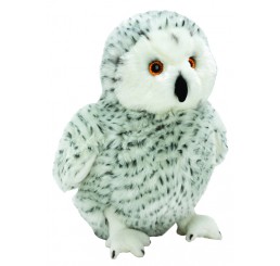 Snowy Owl – large