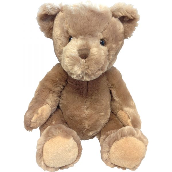 ‘Chandler’ teddy bear